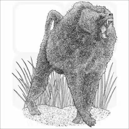Olive Baboon