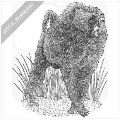 Olive Baboon