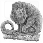 Columbian Red Howler Monkey