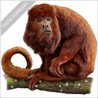 Columbian Red Howler Monkey stock image