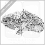 Reticulated Banded Gecko