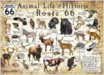 Animal Life of Historic Route 66 poster
