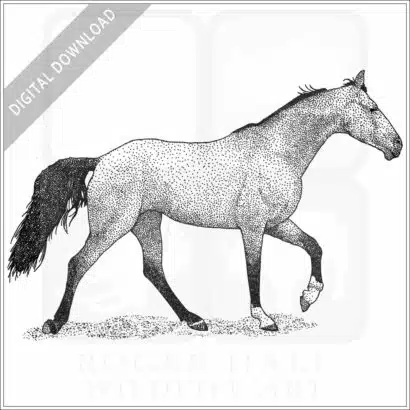Tennessee Walking Horse
