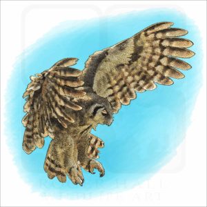 Verreaux's Eagle-Owl illustration