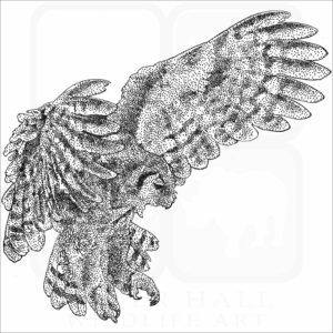 Verreaux's Eagle-Owl