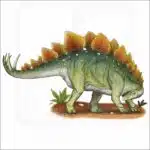 Stegosaurus illustration