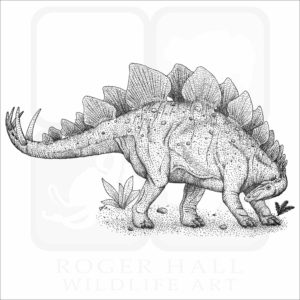 Stegosaurus
