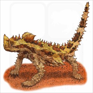Thorny Devil illustration