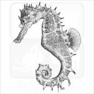 Thorny Seahorse