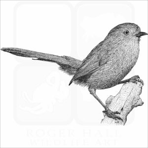 Wrentit