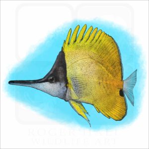 Yellow Longnose Butterflyfish illustration