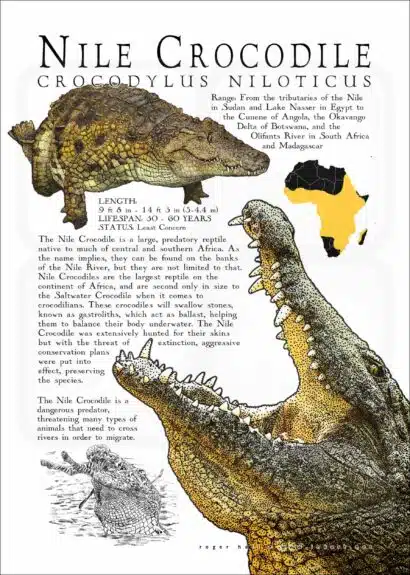 Nile Crocodile poster