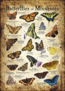 Butterflies of Minnesota poster print