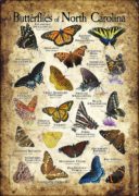 Butterflies of North Carolina poster print