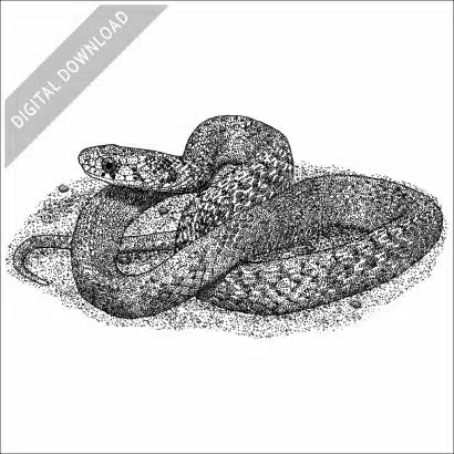 DeKay's Brown Snake
