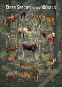 Deer Species of the World poster