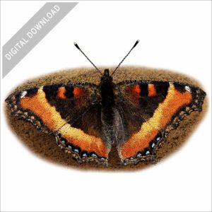 Milbert's Tortoiseshell Butterfly stock image