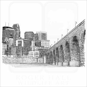 Stone Arch Bridge, Minneapolis illustrationF