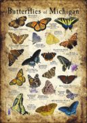 Butterflies of Michigan poster print