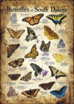 Butterflies of South Dakota poster print