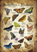 Butterflies of Tennessee poster print