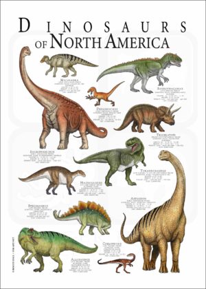 North American Dinosaurs poster print
