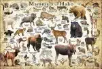 Mammals of Idaho poster print