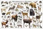 Mammals of Idaho poster print