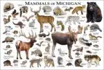 Land Mammals of Michigan poster print