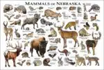 Mammals of Nebraska poster print