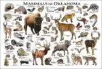 Oklahoma Land Mammals poster print
