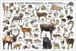 Oregon Land Mammals poster print