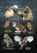 Owls of Florida poster print