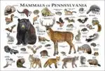 Mammals of Pennsylvania poster print