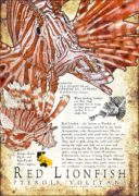 Red Lionfish Poster