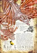 Red Lionfish Poster