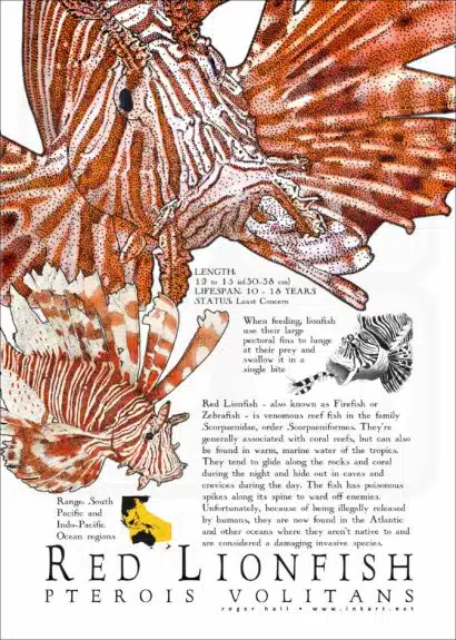 Red Lionfish