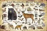 Rhode Island land mammals poster print