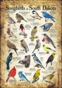 Songbirds of South Dakota poster print