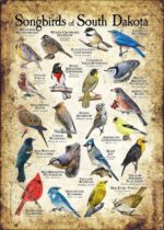 Songbirds of South Dakota poster print