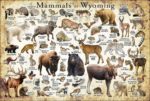 Mammals of Wyoming poster print