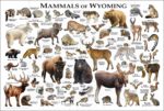Mammals of Wyoming poster print