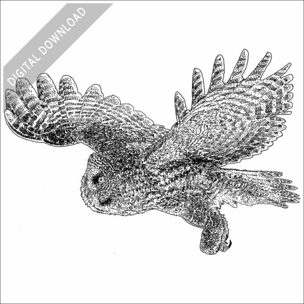 Great Gray Owl