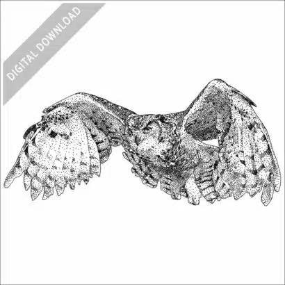 Great-Horned Owl (in flight)
