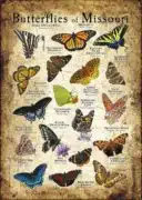 Butterflies of Missouri poster print