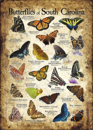 Butterflies of South Carolina poster print