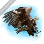Cinereous Vulture stock image