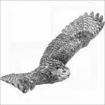 Indian Eagle-Owl