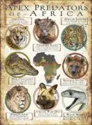 Apex Predators of Africa poster print