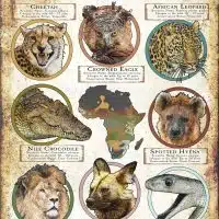 Apex Predators of Africa poster print